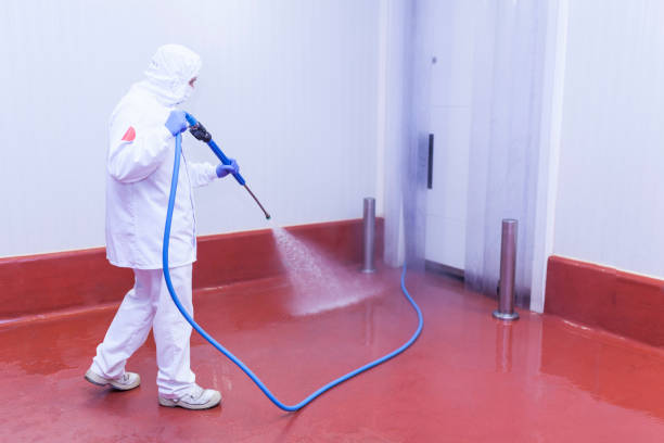 Best Sidewalk and Walkway Cleaning  in Palmetto Estates, FL