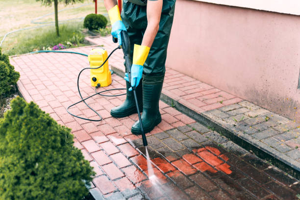 Best Fence Cleaning  in Palmetto Estates, FL