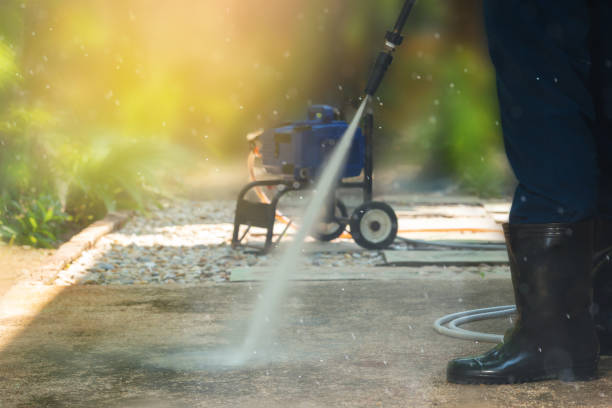 Best Soft Washing  in Palmetto Estates, FL